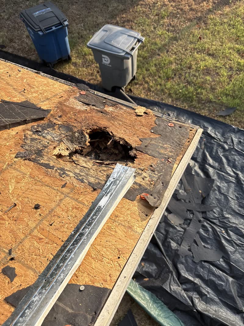 During photo 1 — Dallas referral-program roof replacement